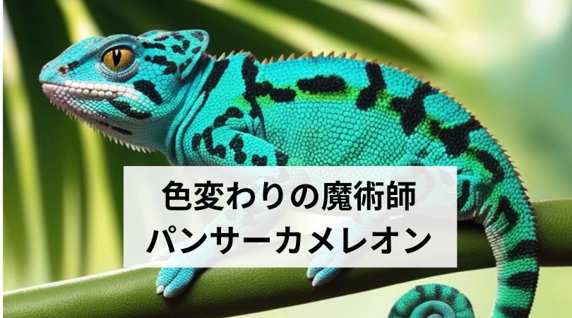 kamereonirokawarinomazyutushi