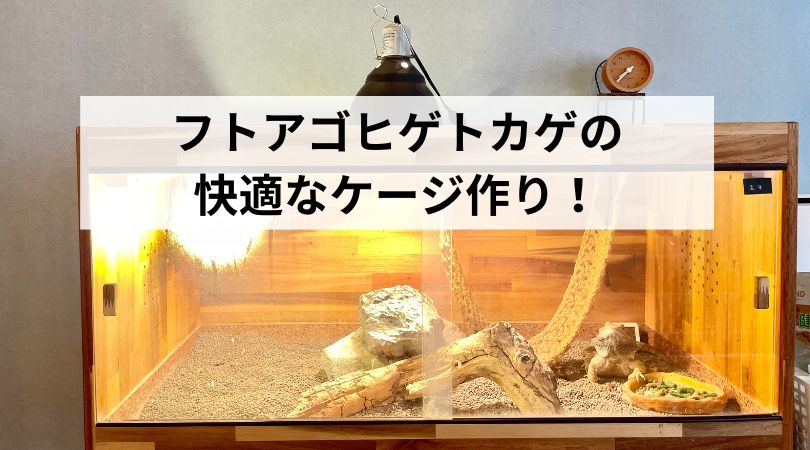 hutoagohigetokagekaitekinake-zi