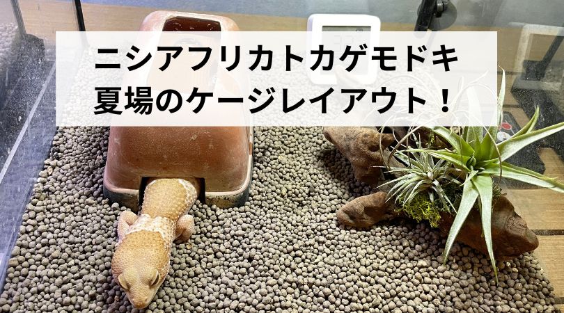 nishiahurikatokagemodokinatubanoke-zireiauto