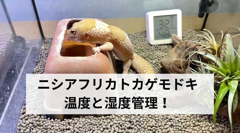 nishiahurikatokagemodokiondotoshitsudo
