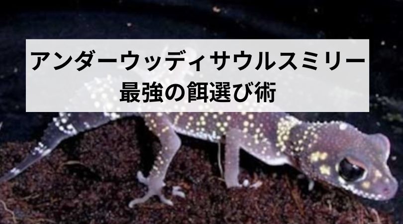 mirisaikyounoesa