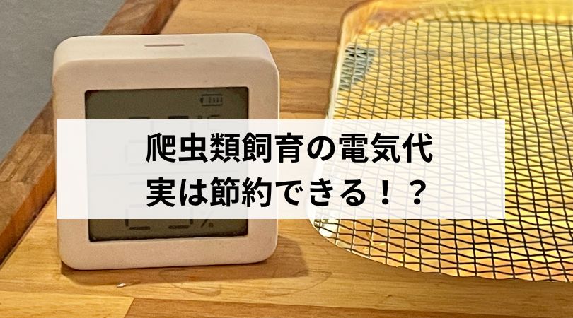 hatyuuruisiikunodenkidai