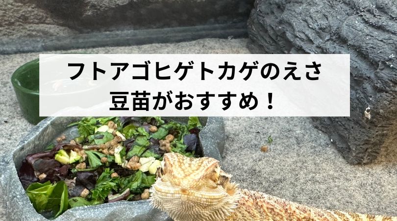 hutoagohigetokagetoumyouosusume