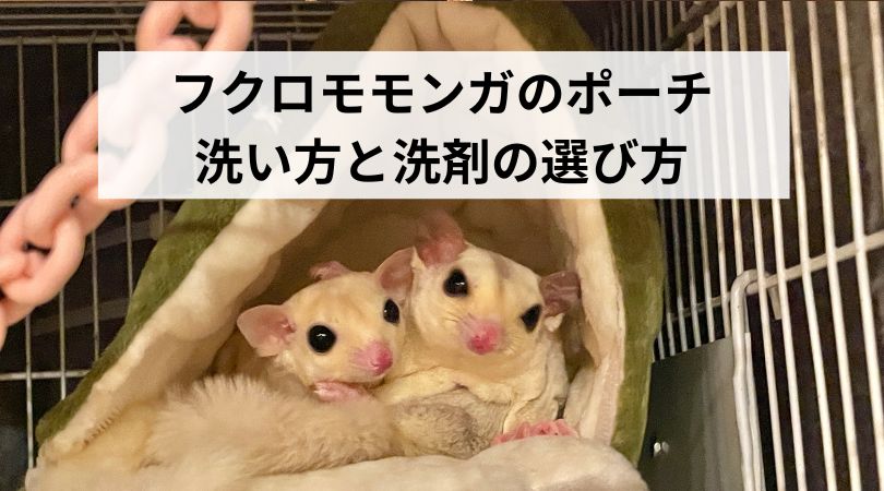 モモンガポーチの洗い方