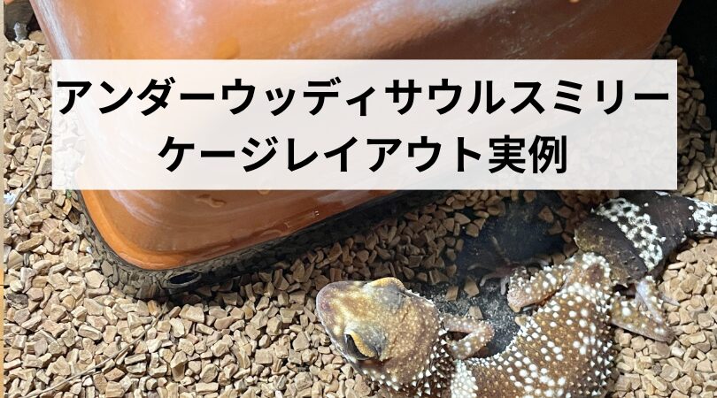 アンダーウッディサウルスミリーンダーケージアウト実例