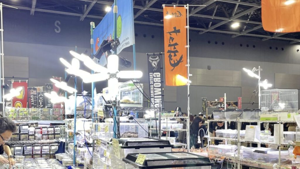 フクロモモンガ販売イベント会場の様子