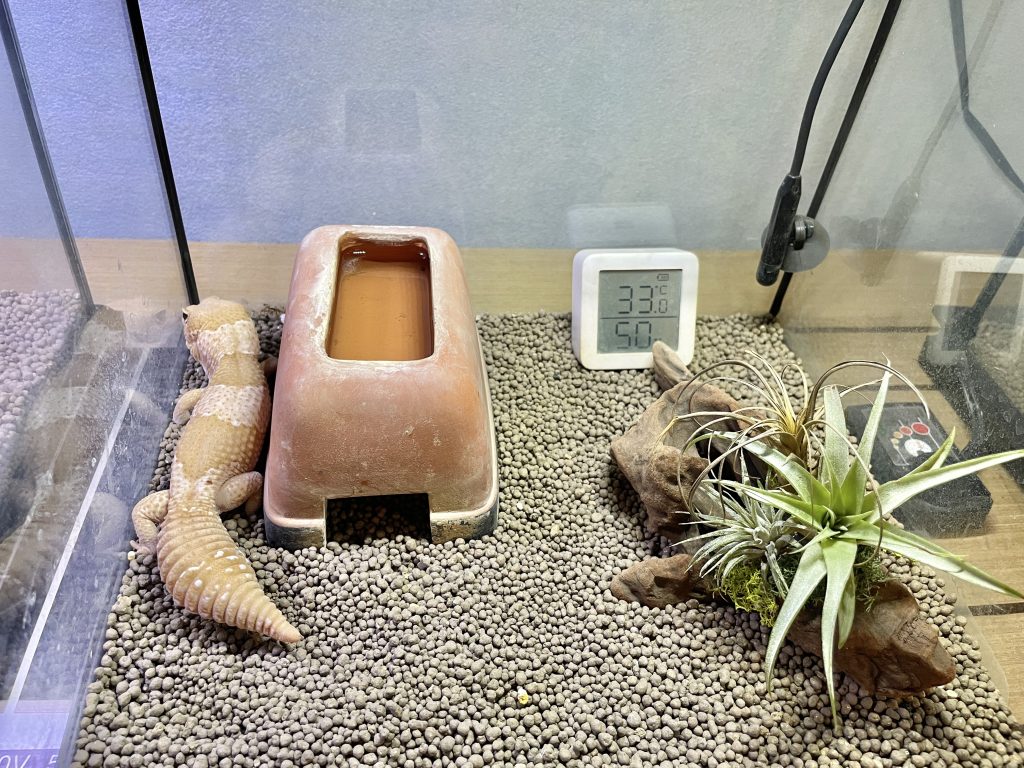 飼育ケージ全体の様子