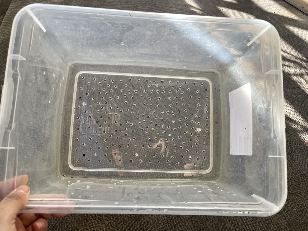 電動ドライバーで穴を開けた飼育ケースの底部分、通気と排泄物排出の工夫