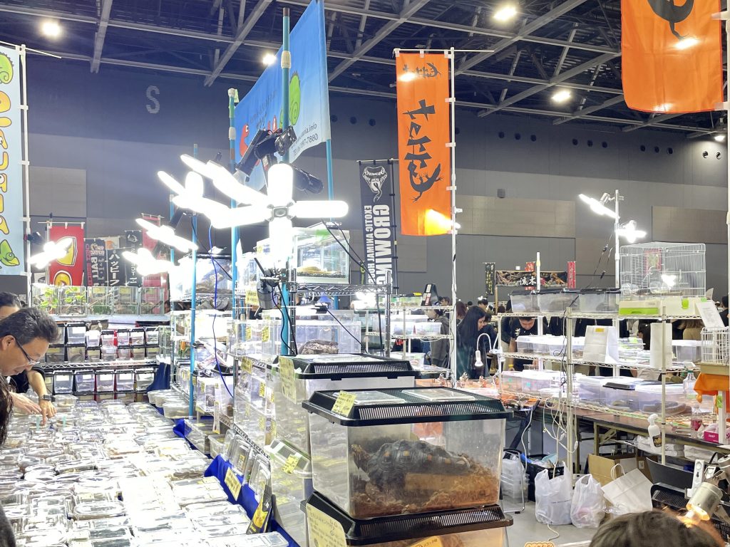 爬虫類フェスのイベント会場の風景