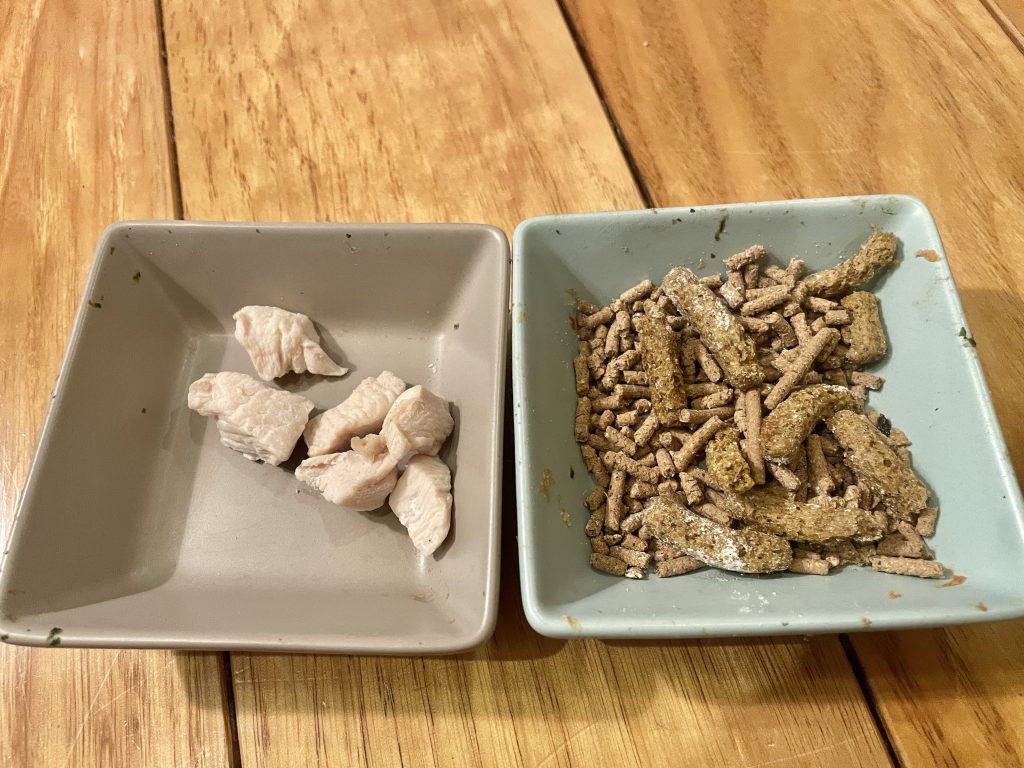 100円ショップで購入した陶器の餌皿