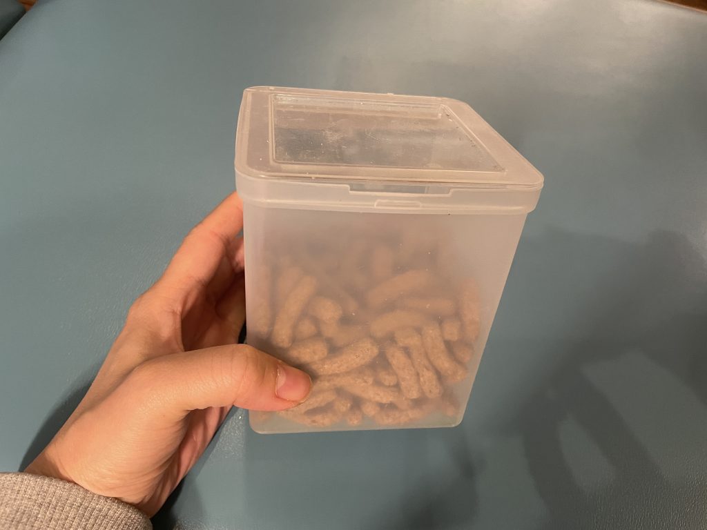 爬虫類の飼育に使える100円ショップのプラスチックケース