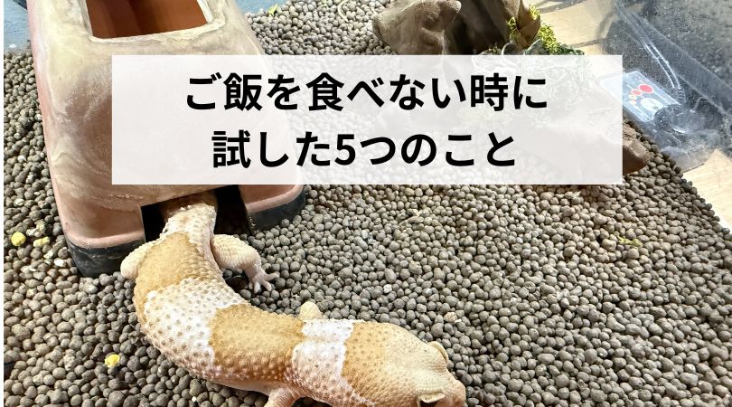 nishiahugagohanwotabenaitokinitameshitakoto