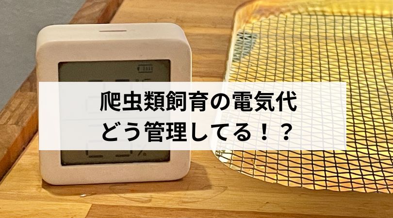 爬虫類の電気代どう管理してる？