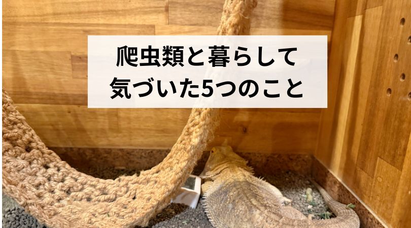 hatyuruitokurasitekuzuitakoto