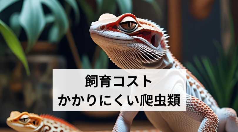 shiikukosutokakaranaihatyuurui