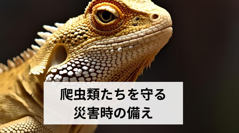 saigaizinisonaeru